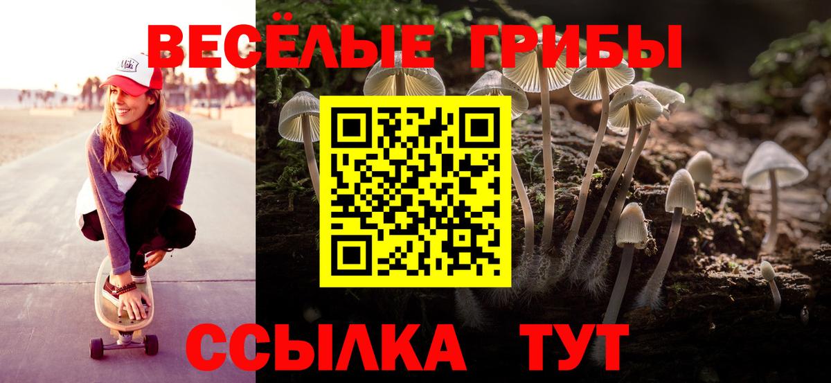 Псилоцибиновые грибы Psilocybe  Псилоцибиновые грибы мицелий  Вход с VPN  Ачинск 